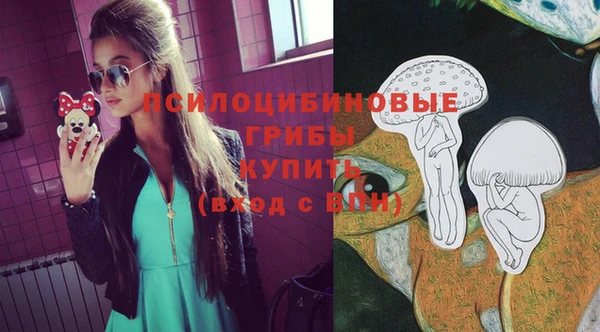 твердый Богородицк
