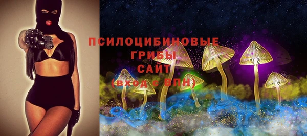 твердый Богородицк