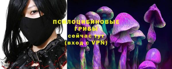 прущая мука Богданович